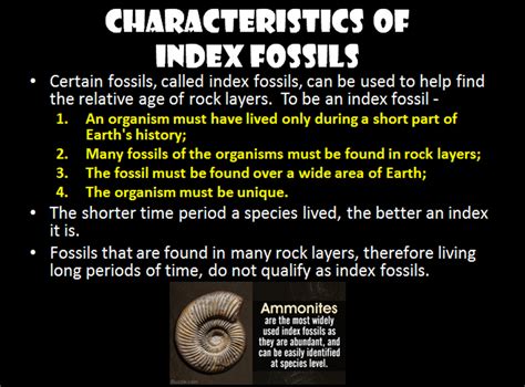 index fossils facts.